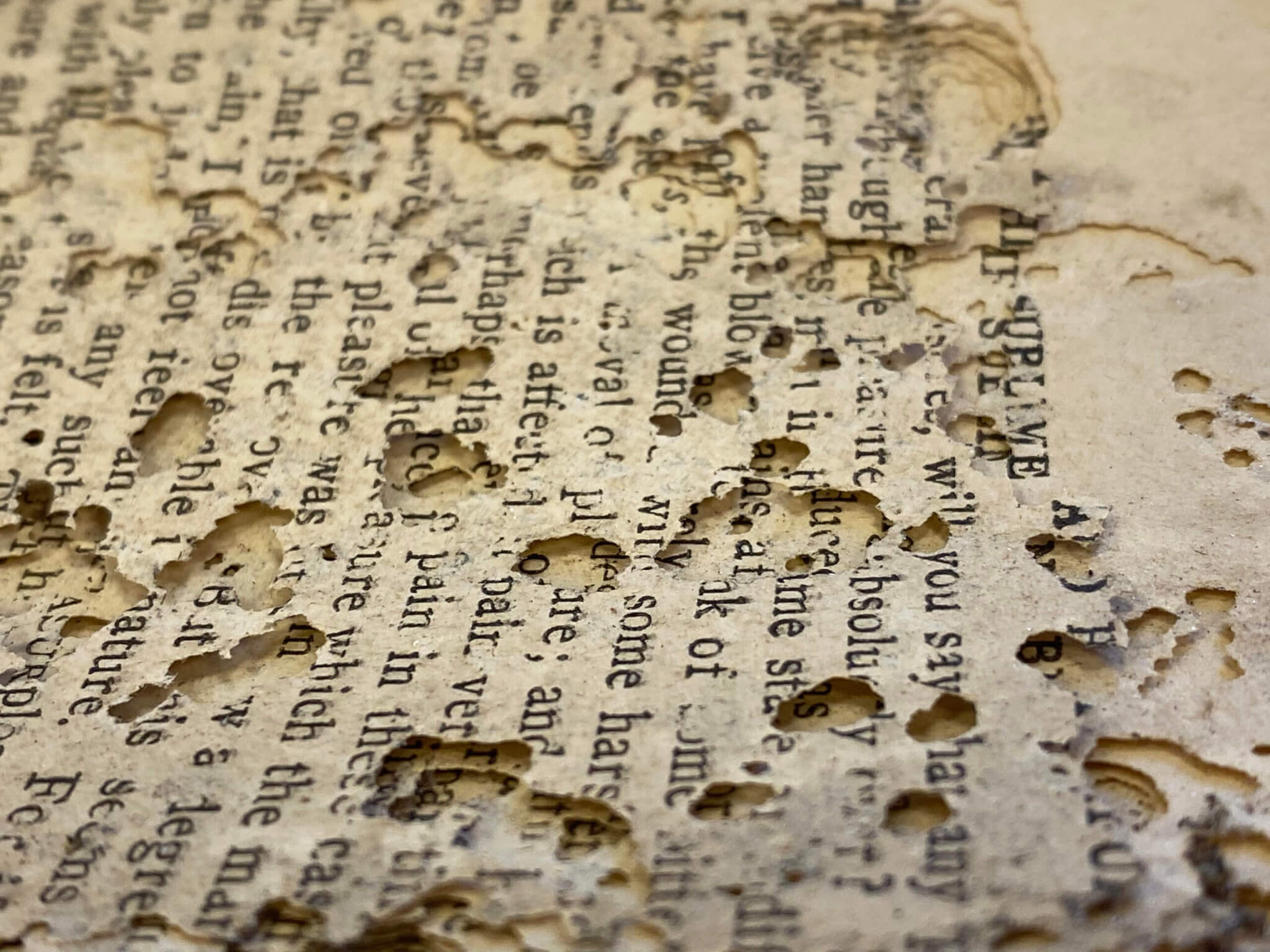 Severe insect infestation book and paper. Paper conservation 